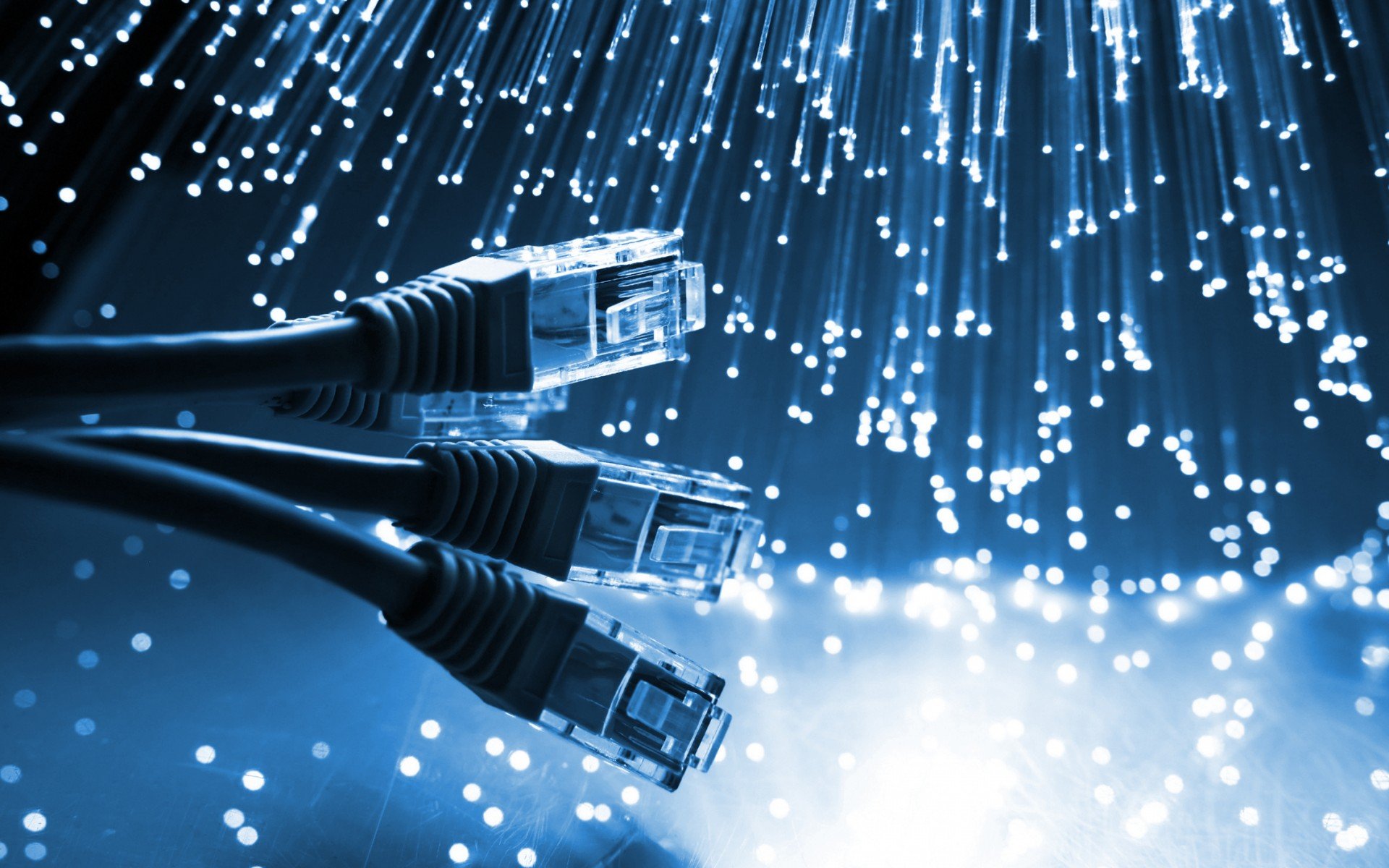 Data Cable & Wiring Wadehra IT Support Brampton